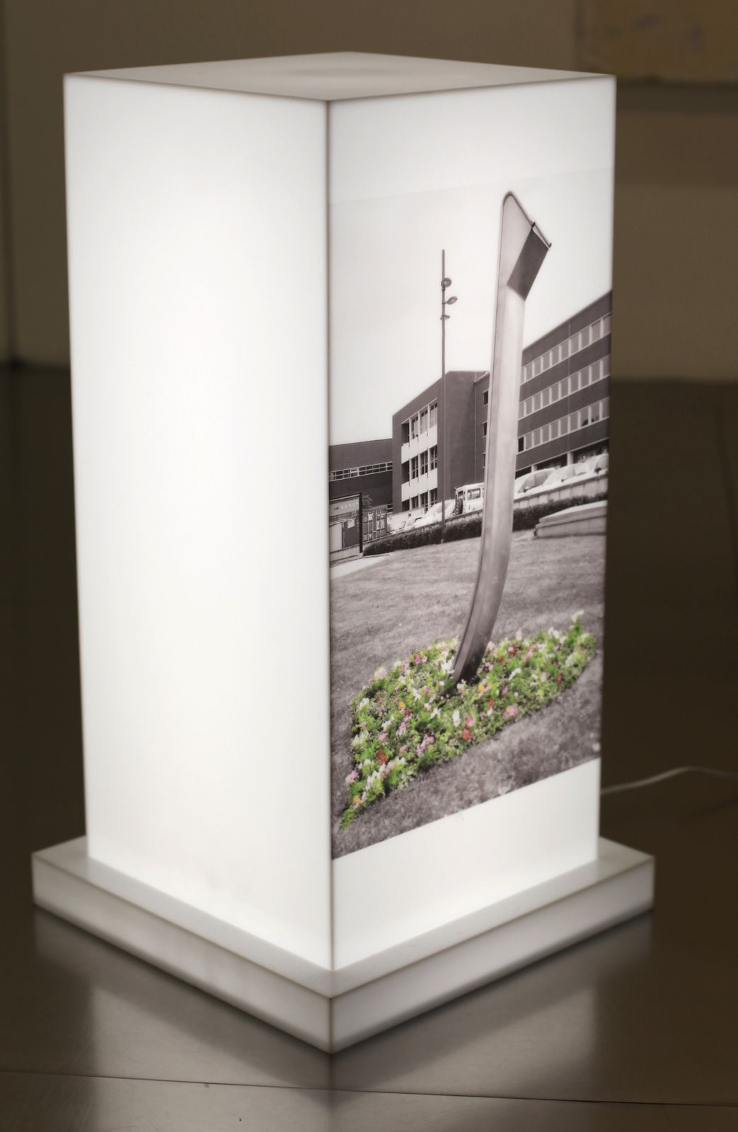 "Untitled (Death of the Vampire Eluminated)", 2015 de Carolin EIDNER - - Courtesy Galerie Loevenbruck © Photo Éric Simon