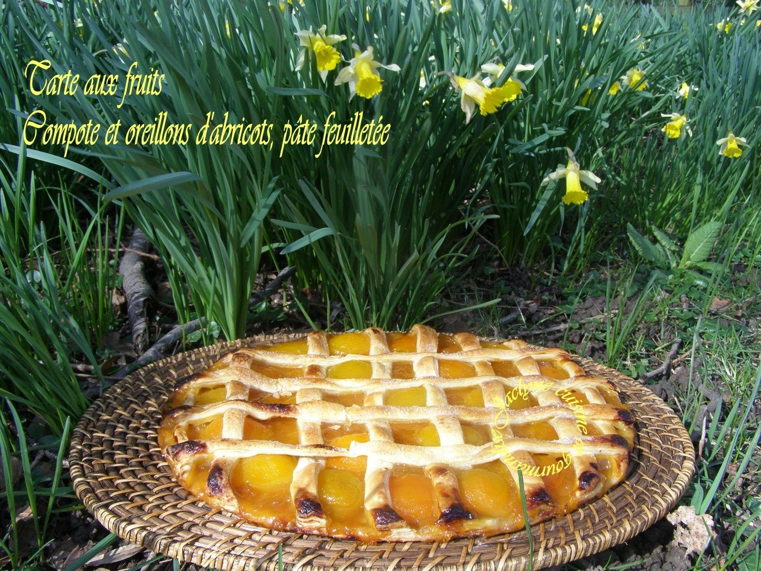Tarte aux fruits, compote et oreillons d'abricots, sur pâte feuilletée