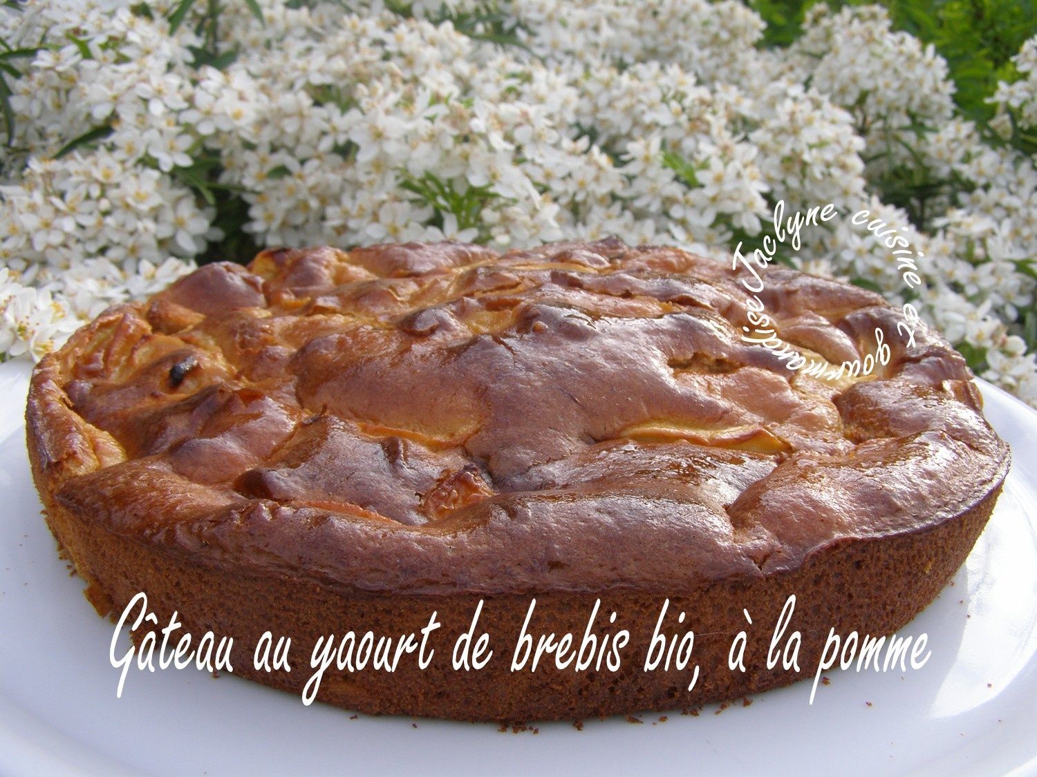 Gateau Au Yaourt De Brebis A La Pomme Rapide Simple Et Naturel