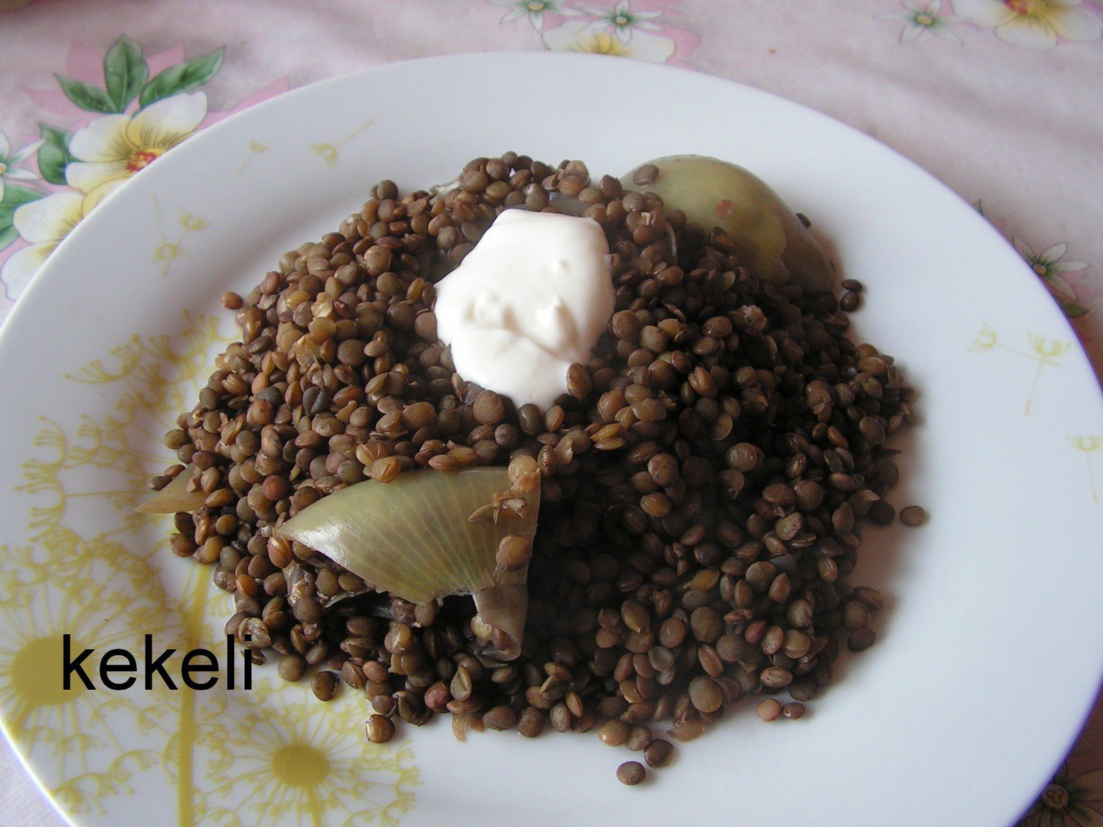 Lentilles vertes à la crème fraîche - Le blog de kekeli