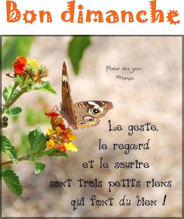 Bon Dimanche Citation Image Bon Dimanche Citation Image