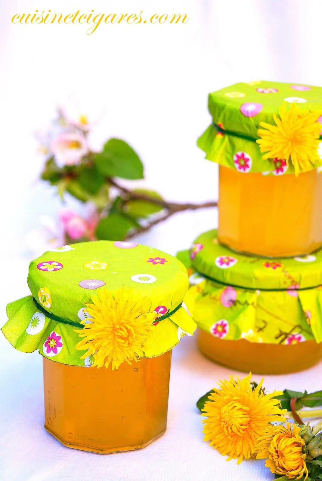 Cramaillotte ou gelée ou miel de Fleurs de Pissenlits