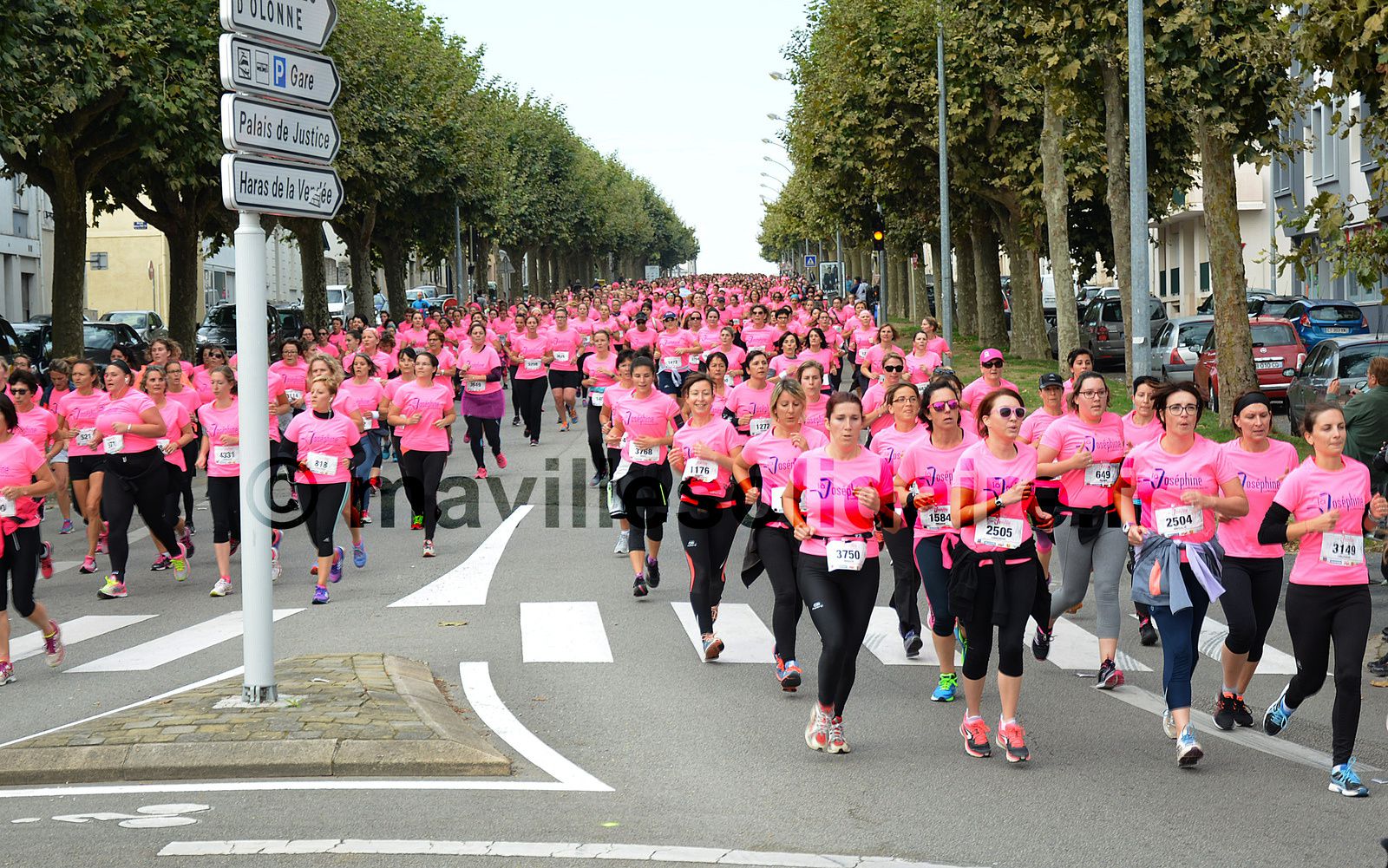 Joséphine 2016. 5000 roses marchent et courent contre le cancer [Images].