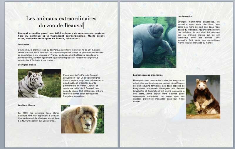 Comment Creer Une Image De Fond En Arriere Plan Dans Un Document Word Cours Faciles Sur Les Principales Fonctions De Word Office Et D Autres Logiciels Pour Tous