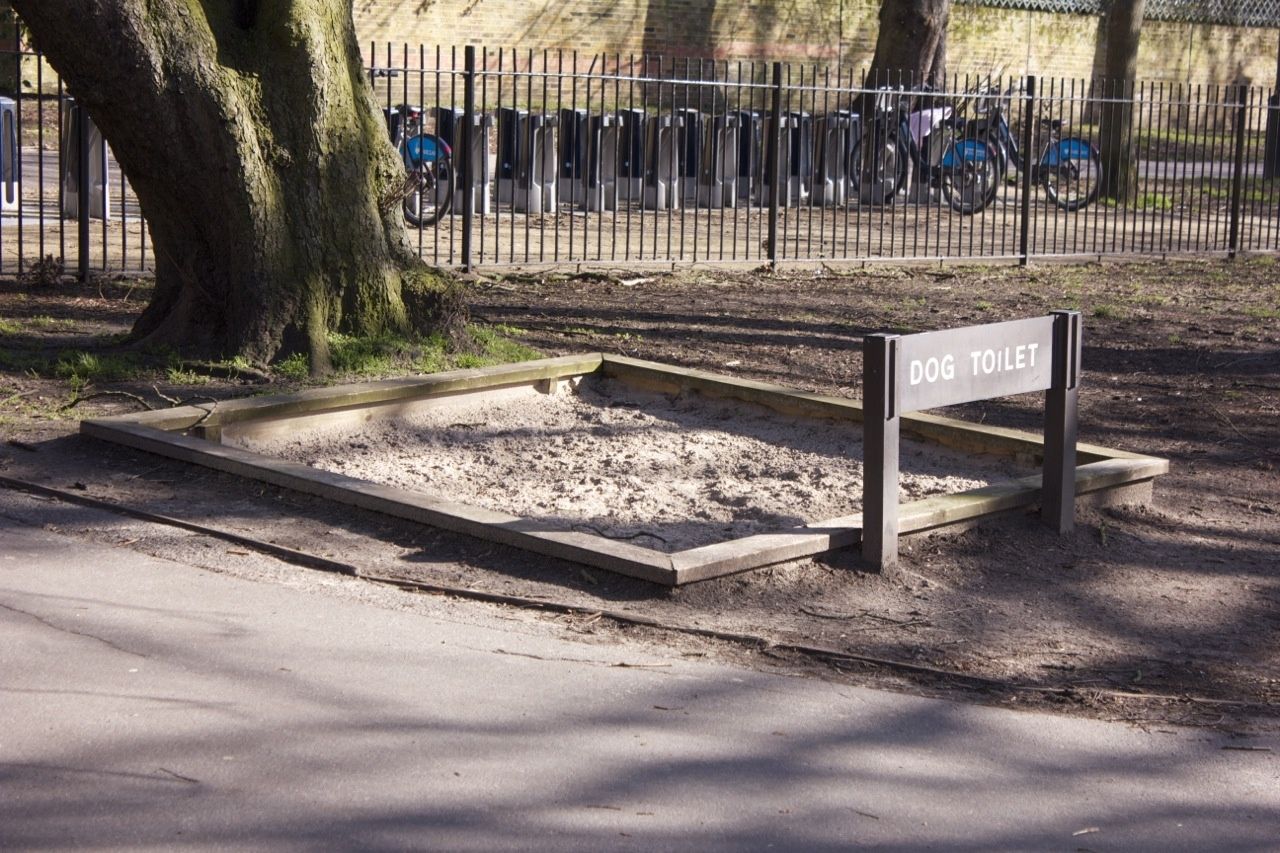 LA PHOTO DE LA SEMAINE