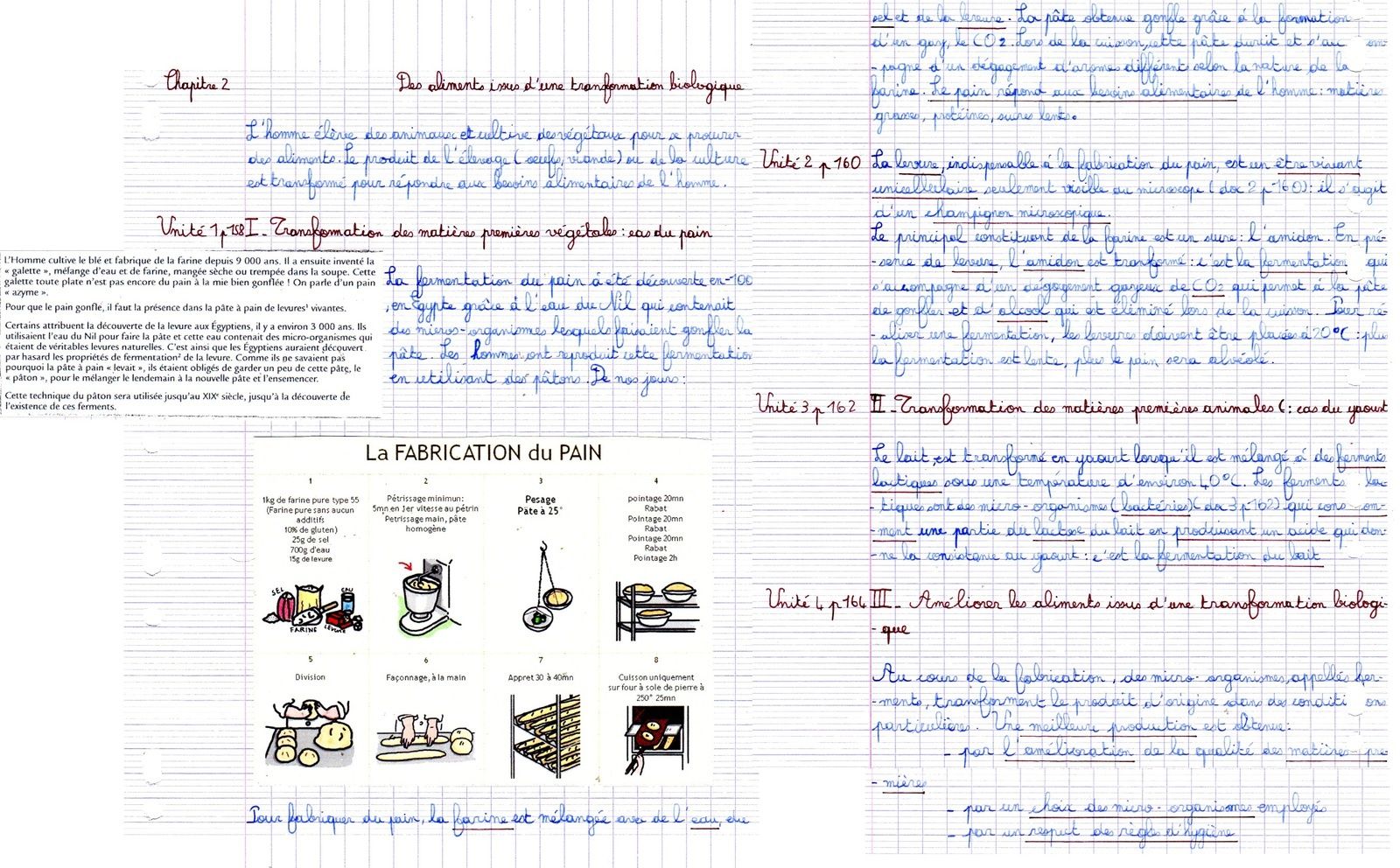 Evaluation Svt 6ème Conservation Des Aliments 6e SVT - Ecole à la maison 40
