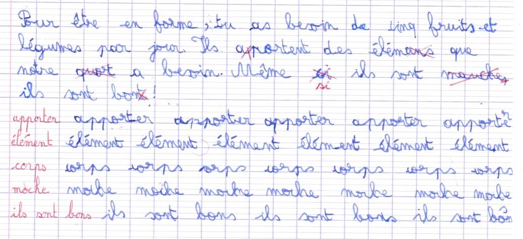 dictée cm1 la rencontre