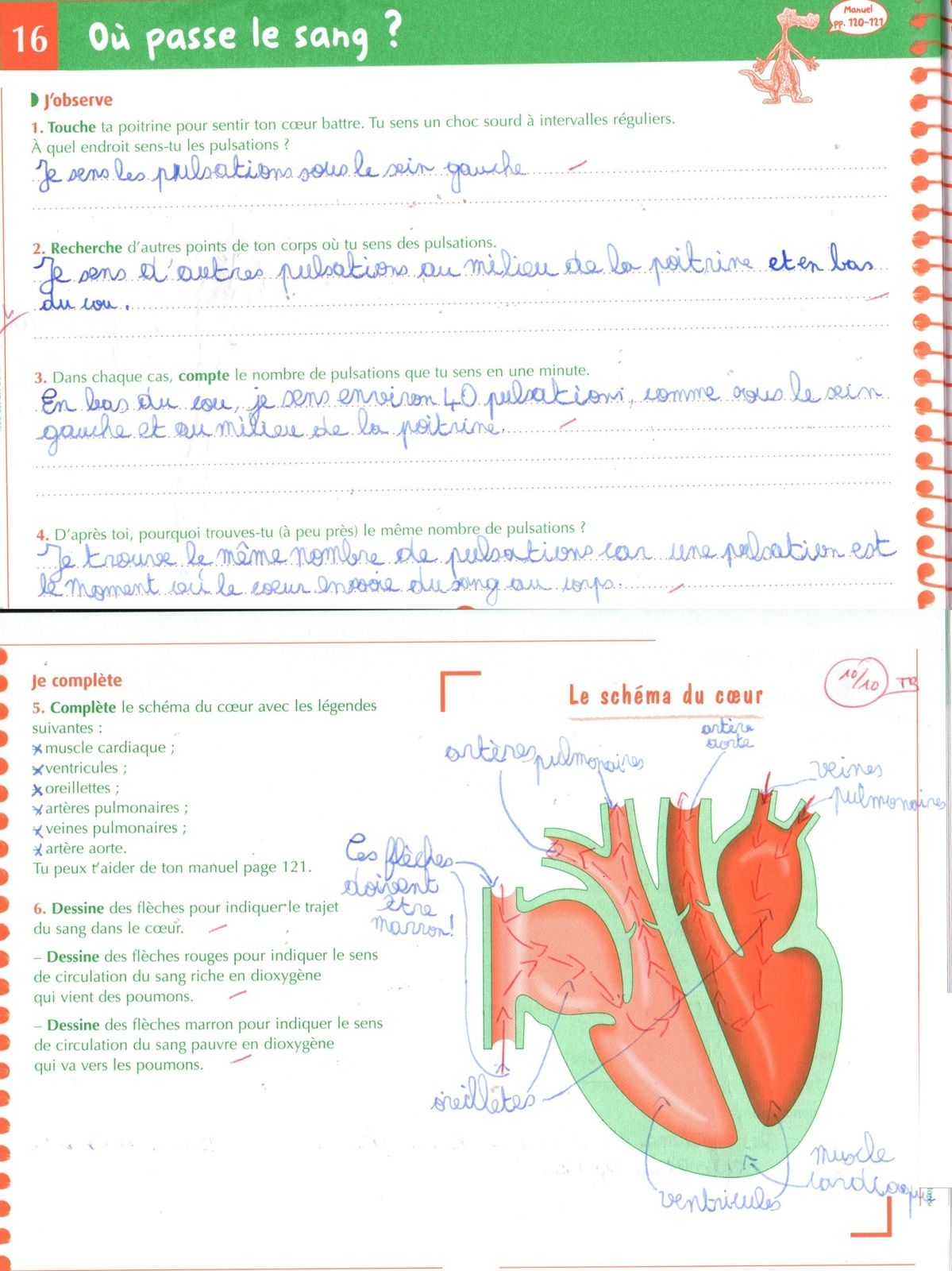 Ecole à la maison 40 - Blog concernant notre aventure de l'école à la
