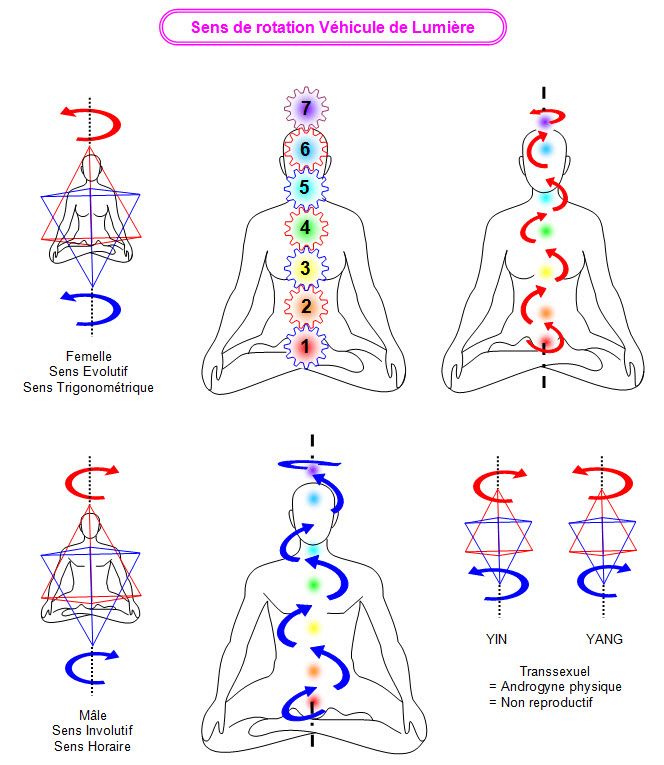 Tester, ouvrir et activer ses chakras