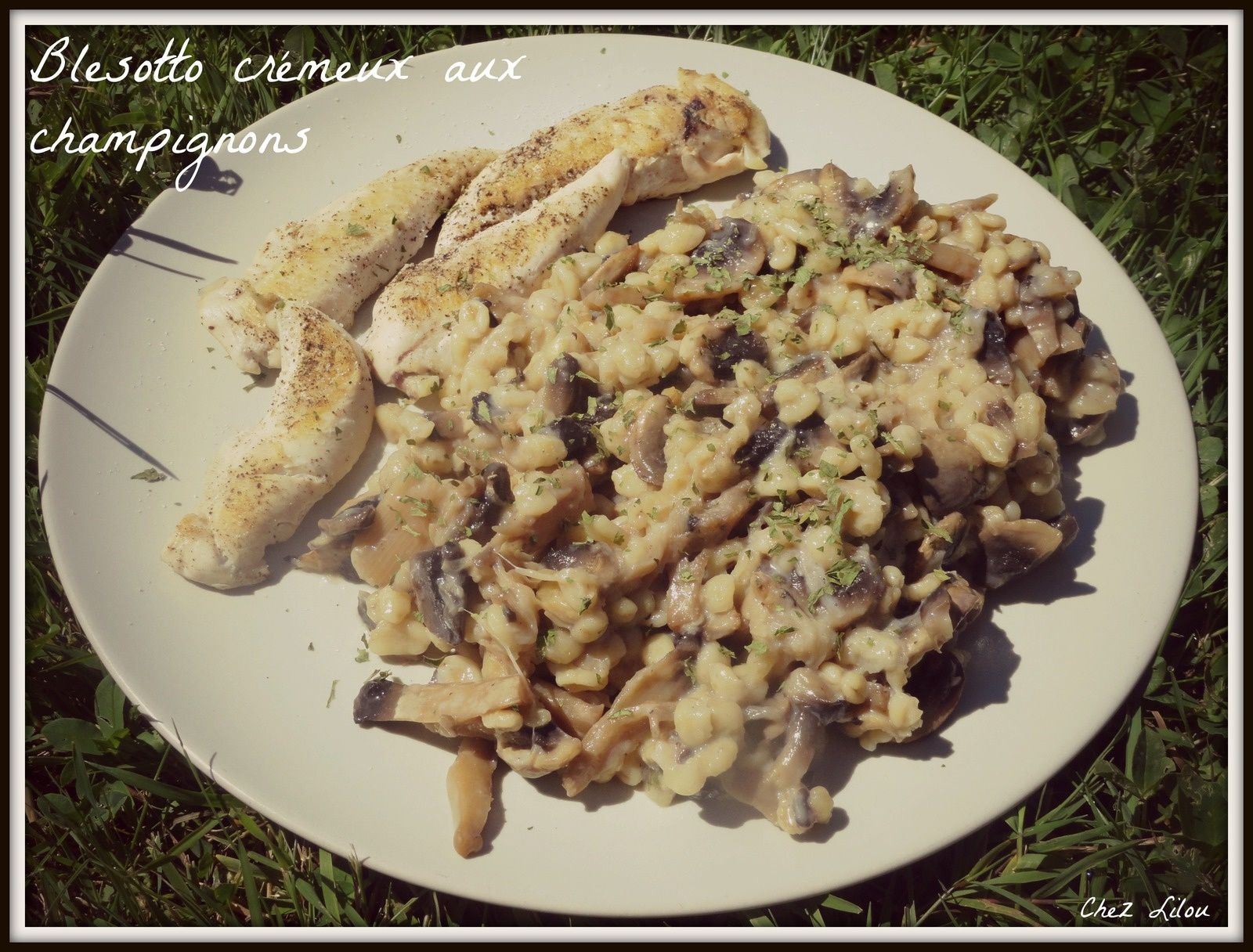 Blesotto crémeux aux champignons