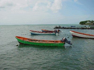 Martinique - Fabrication des "Gommiers" (bateaux de pêche)