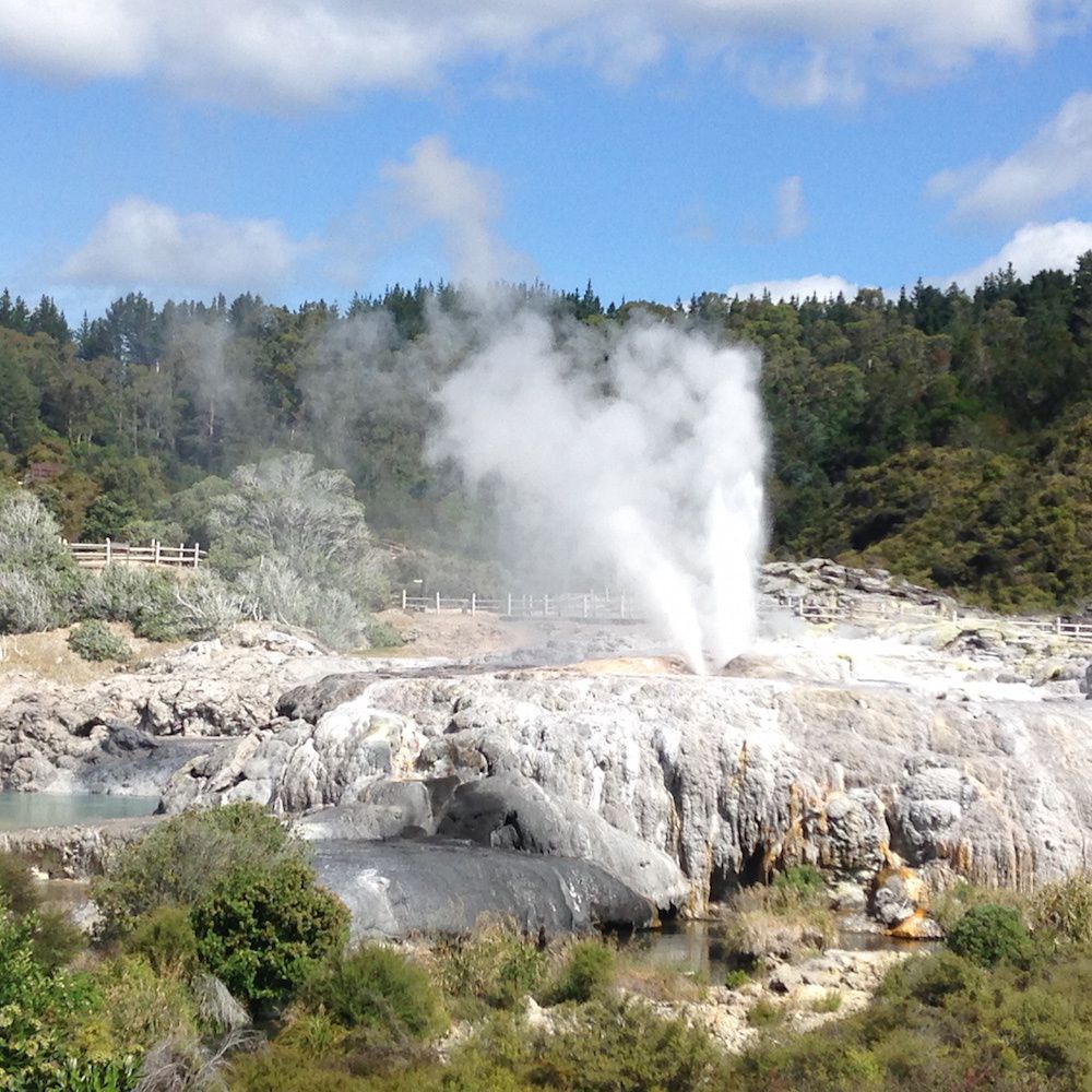 Jour 16 - Okere Falls - Rotorua - Te Puia et Pohutu Geyser