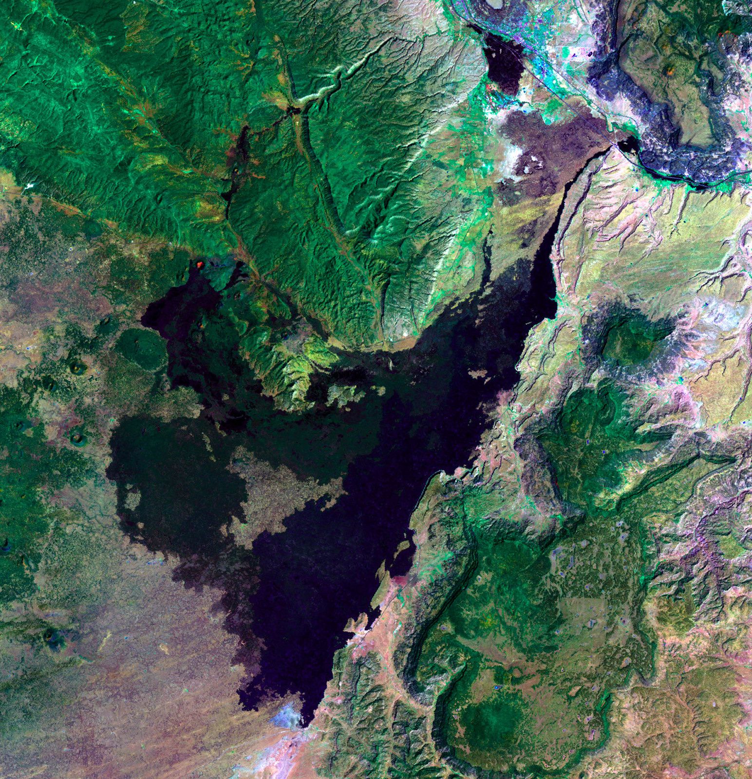 Zuni-Bandera volcanic field - photo Landsat 8 / Nasa
