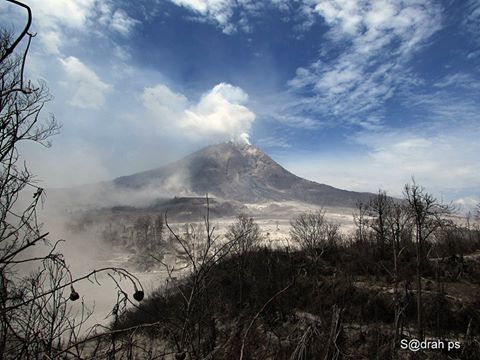 Le Sinabung après son éruption du 5 mars- photo Sadrah ps le 6.03.15 depuis un champ de céréales à Sebintun. 