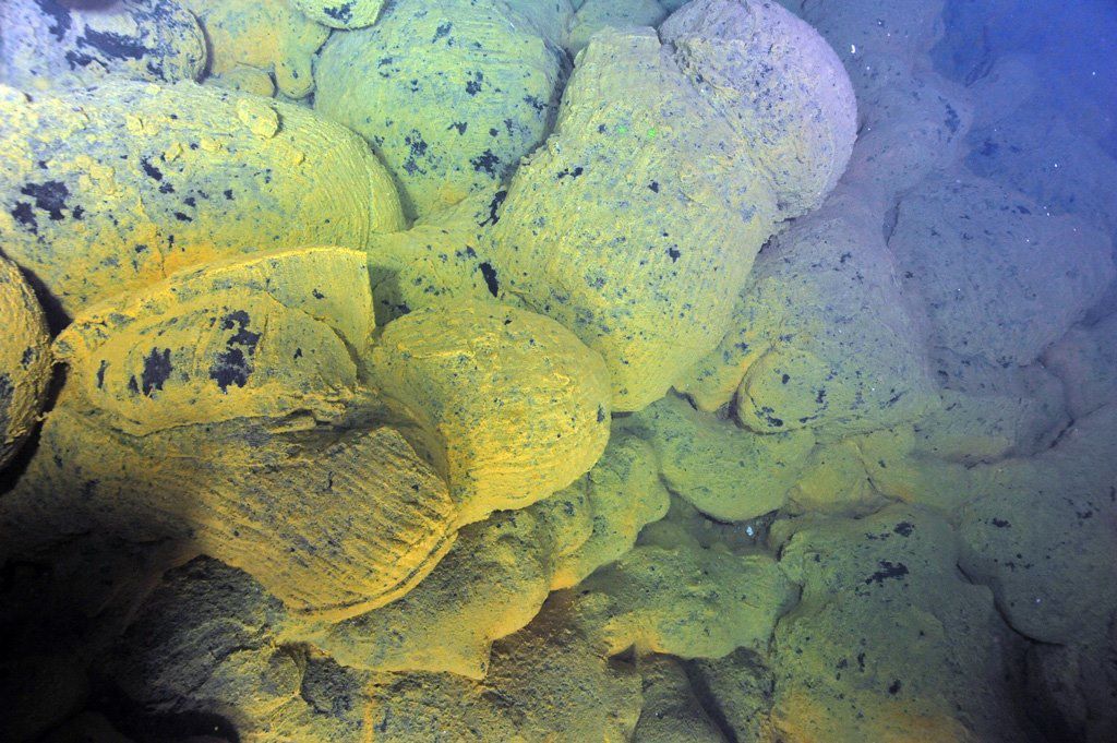 Axial seamount - tapis de bactéries orangées recouvrant les laves en coussins - doc crédit : NSF-OOI/UW/ROPOS; V15 / 26.07.2015.