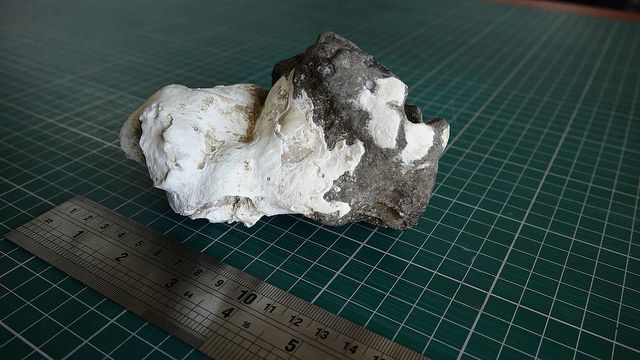 Echantillons de roches recueillies au sommet du Monte O'Higgins - photo Sernageomin