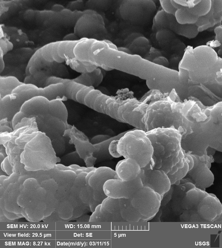 Yellowstone - image au microscope électronique de filaments de thermophiles, présents dans une source chaude, portant des sphérules de silice - photo J.Lowenstern YVO / USGS
