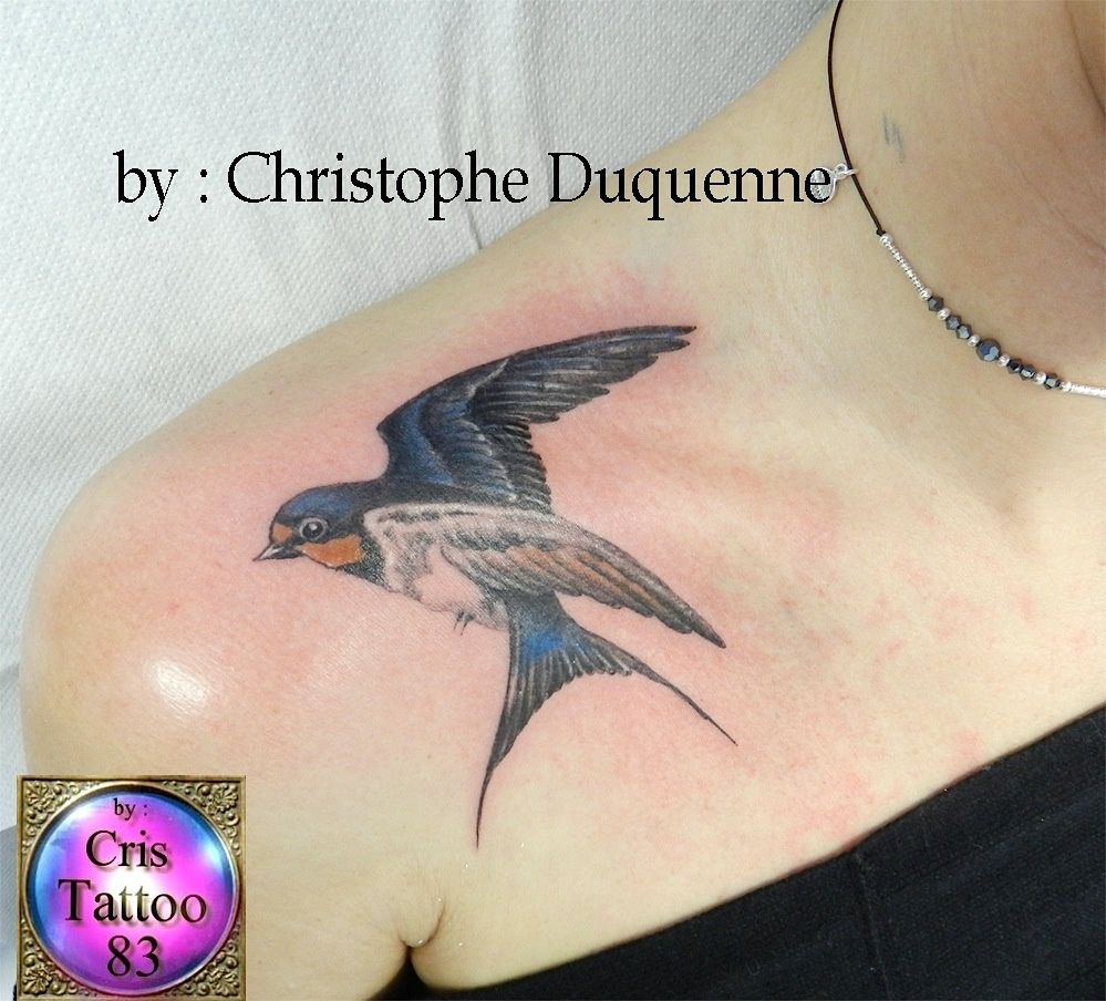 tatouage hirondelle epaule cristattoo83 tatouage hirondelle epaule cristattoo83