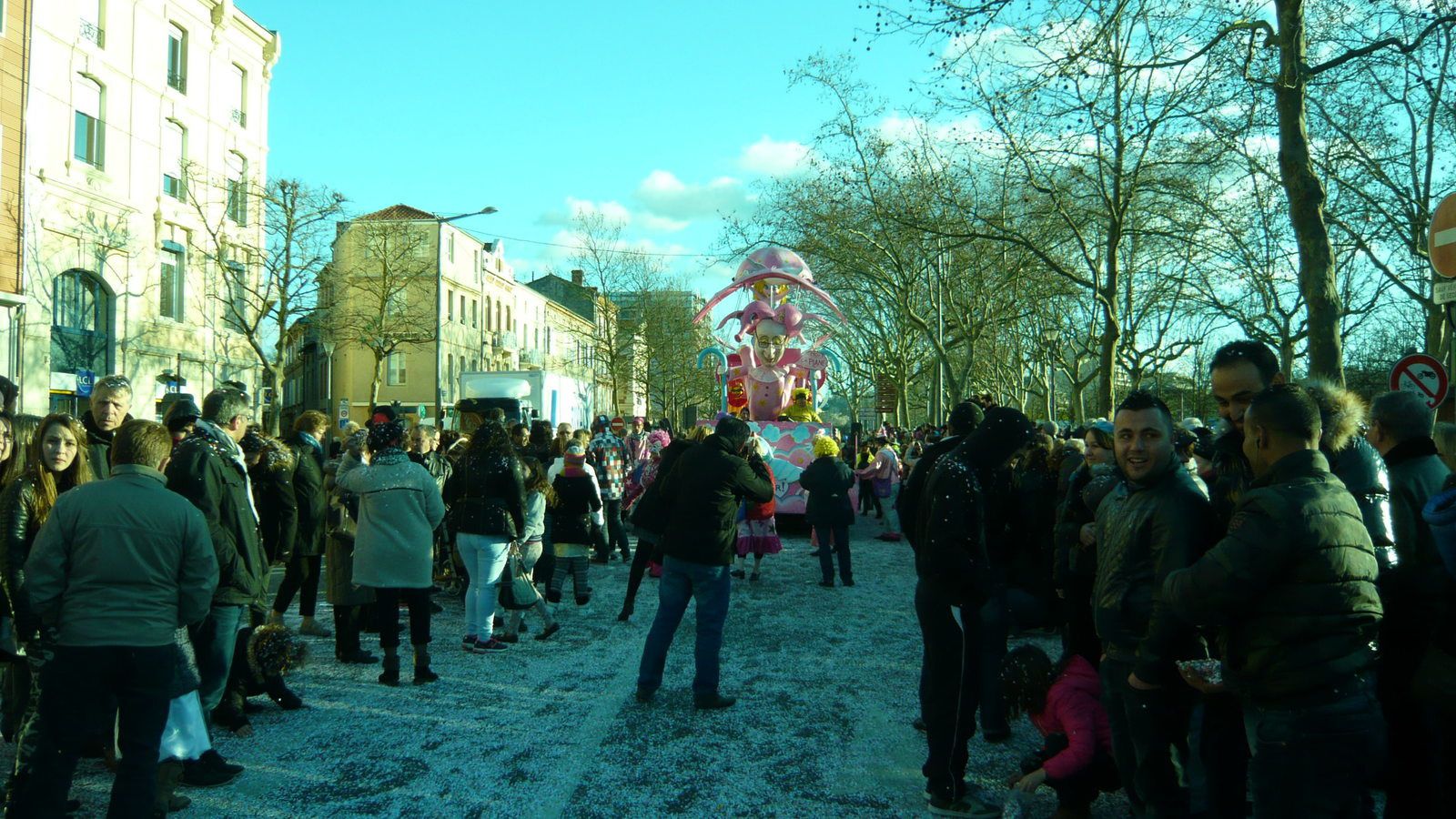carnaval Albi 2015