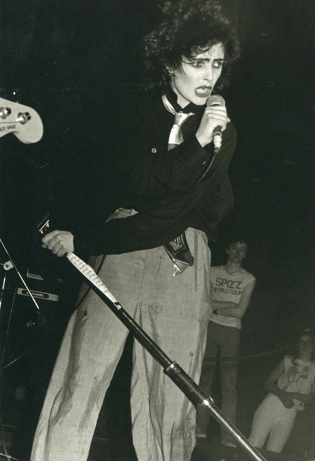 Happy birthday, Siouxsie Sioux - Classic Rock Stars Birthdays