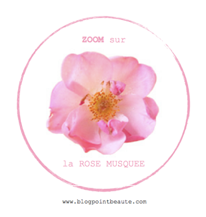 L'huile de Rose Musquée - Votre partenaire anti-vergetures L'huile de Rose Musquée - Votre partenaire anti-vergetures