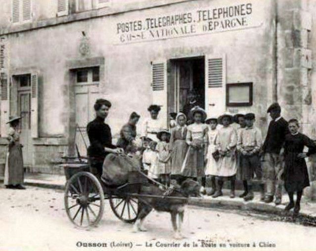 Chien de trait ; le cheval du pauvre.