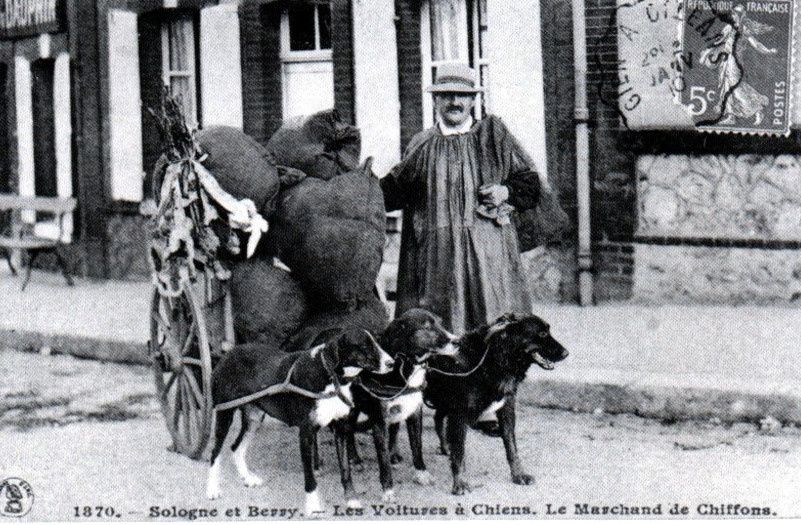 Chien de trait ; le cheval du pauvre.