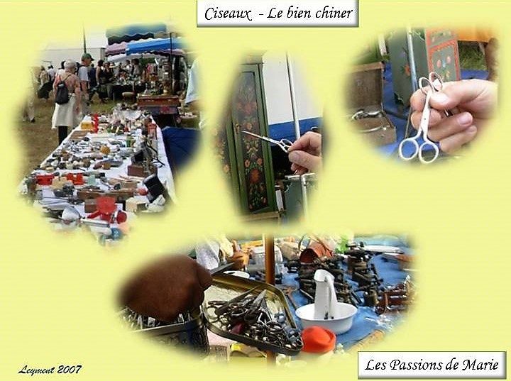 Sinevo des queues lanalyse sur les parasites