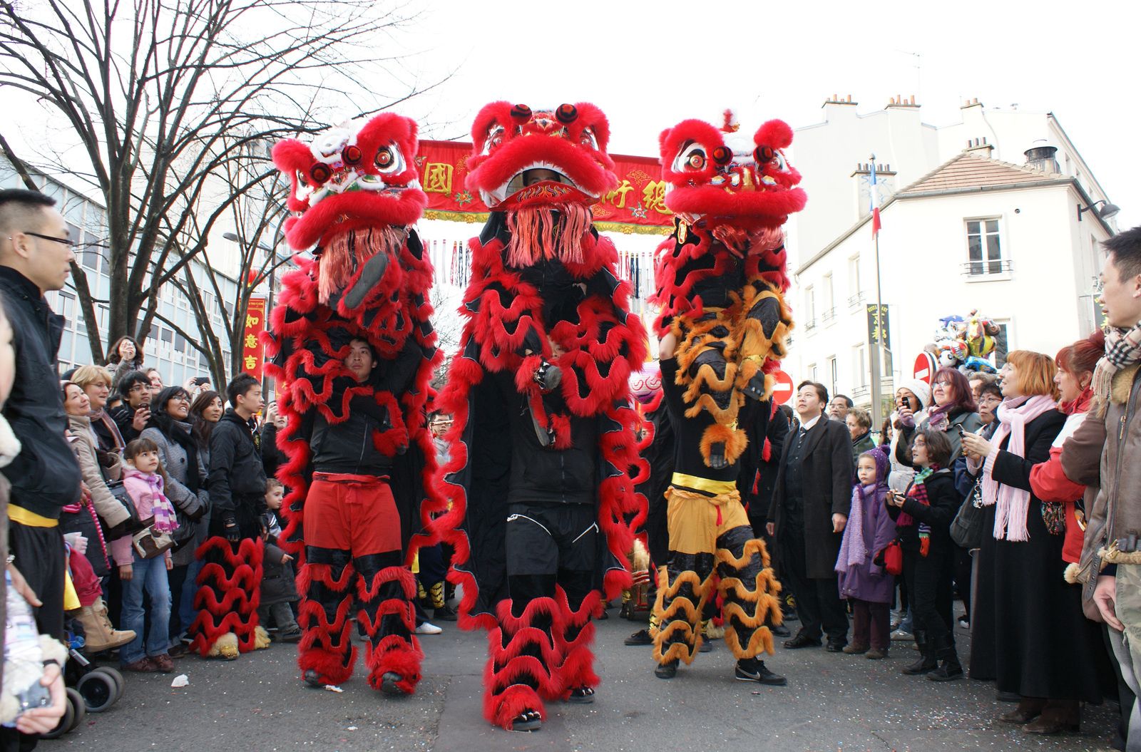 Carnaval Chinois 2010 Paris 75013