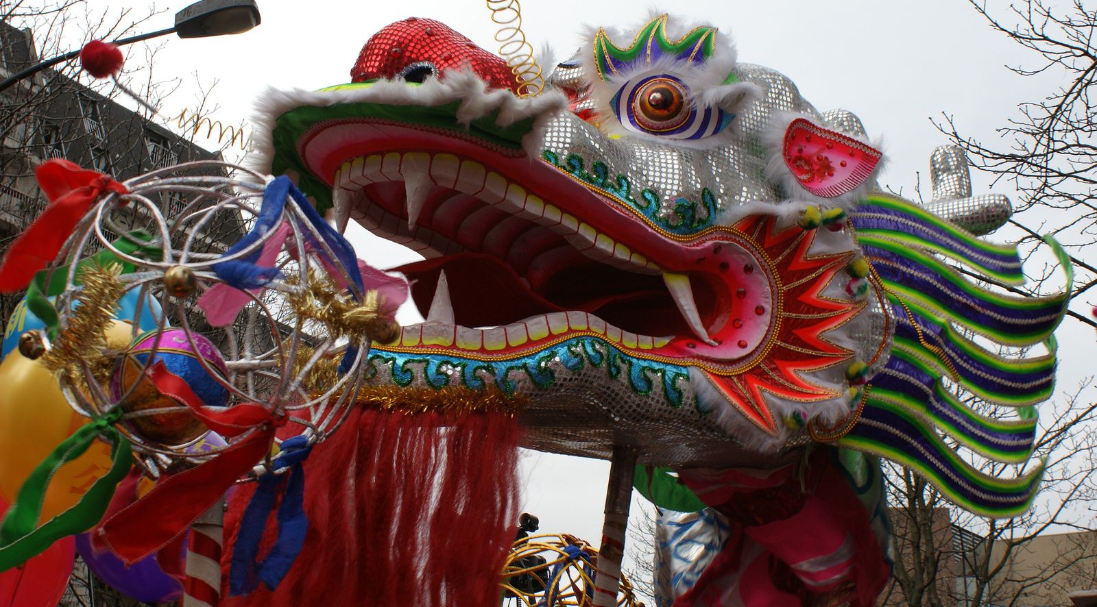 Carnaval Chinois 2010 Paris 75013