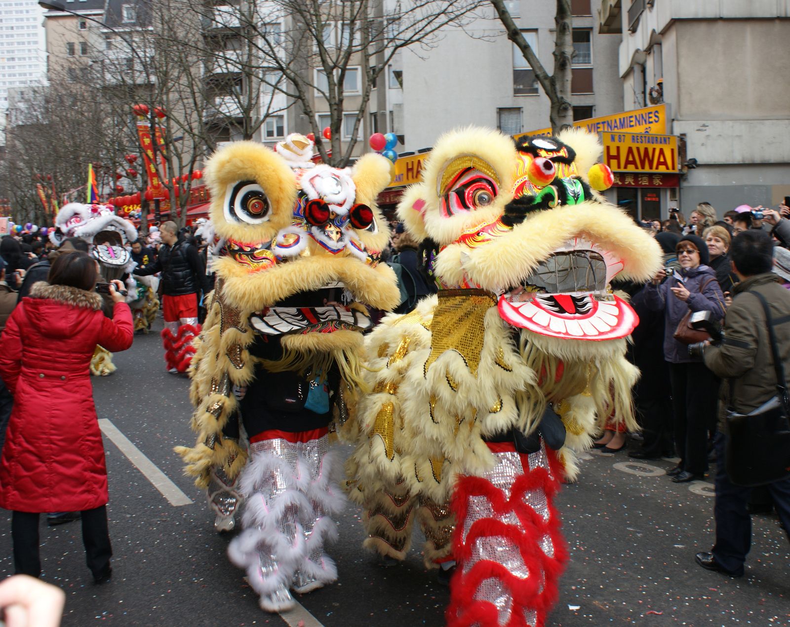 Carnaval Chinois 2010 Paris 75013