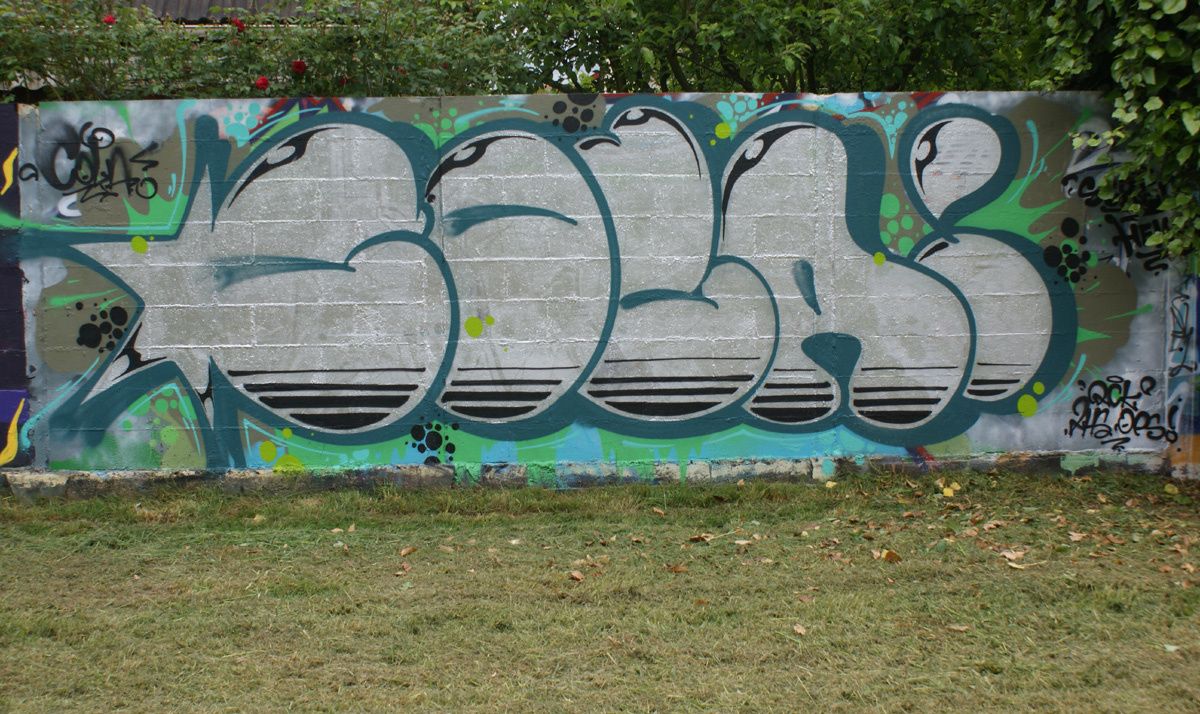 Album - Graffitis Noisy le Grand Tom 002