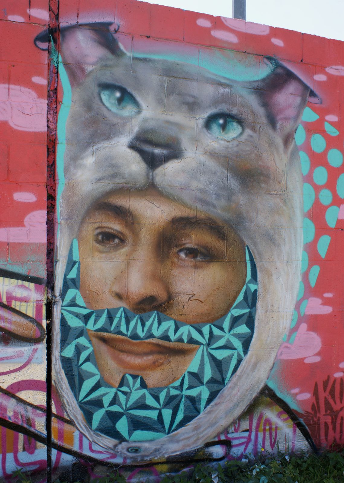 Street Art : Graffitis & Fresques Murales 93000 Bobigny