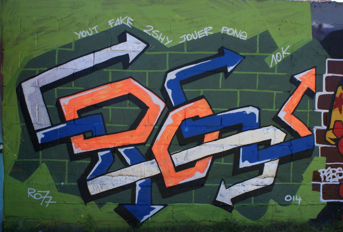 Street Art : Graffitis & Fresques Murales 93000 Bobigny