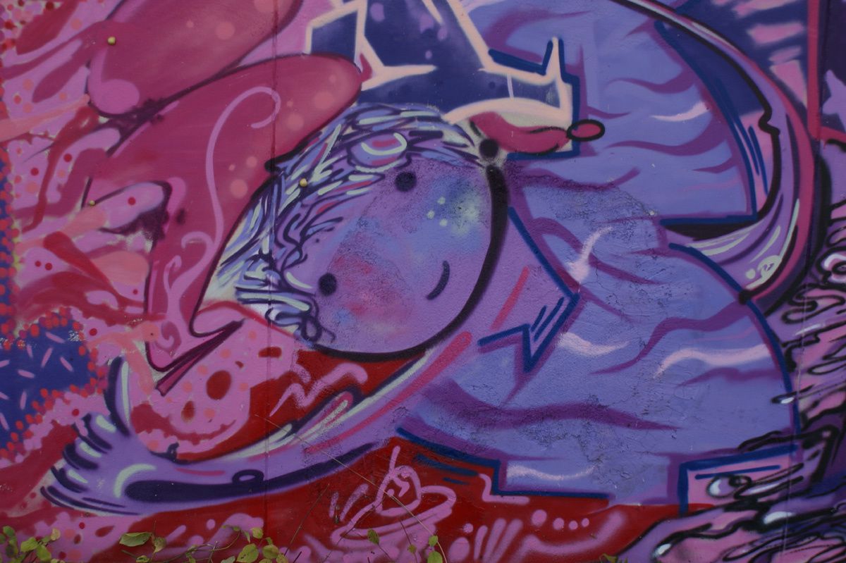 Album - Graffitis Dept 10 Tom 001