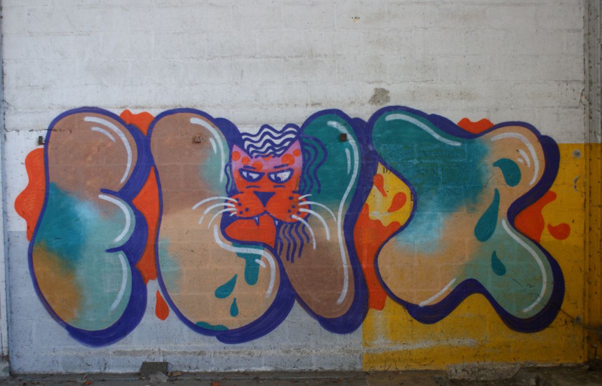 Album - Graffitis Dept 10 Tom 001