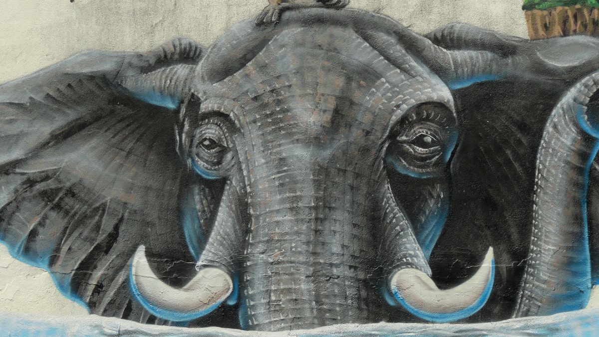 Album - Graffitis Thailande 1