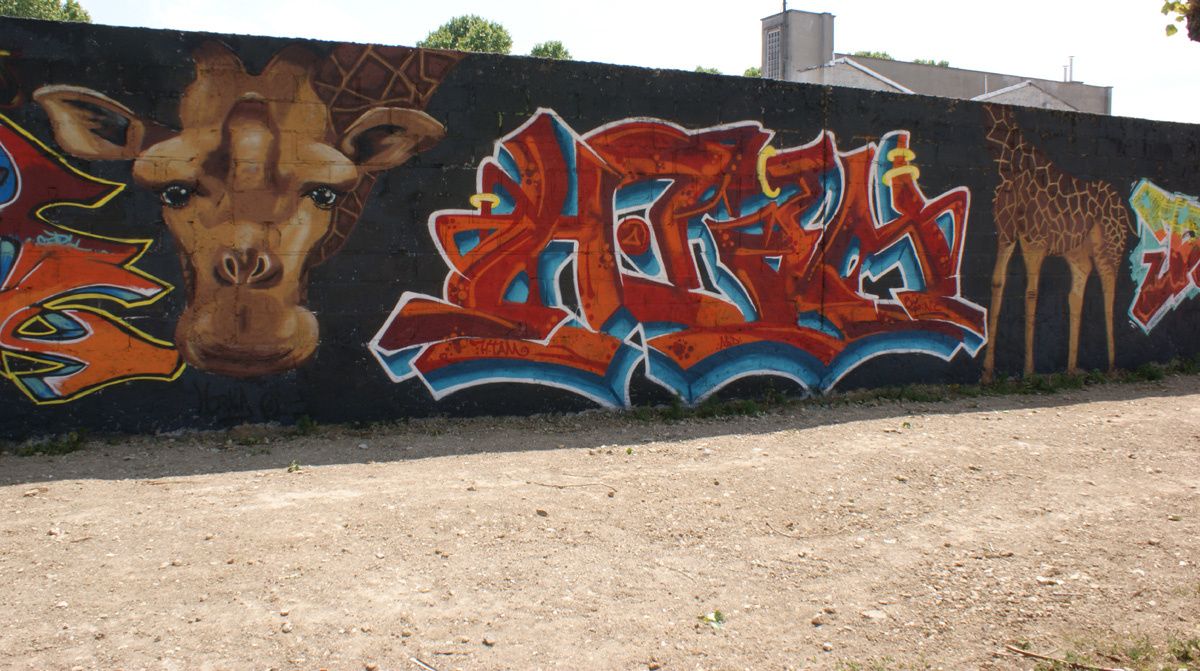 Album - Graffitis Dept 93 Tom 034