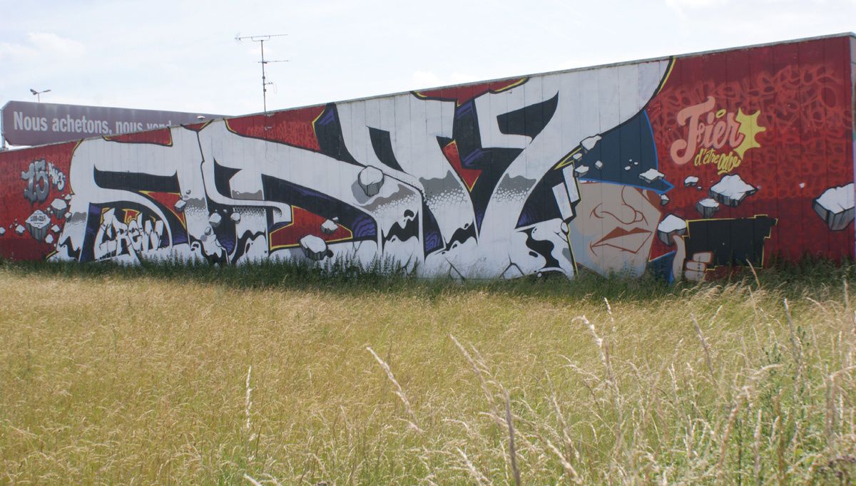 Street Art : Graffitis &amp; Fresques Murales 95229 Ezanville