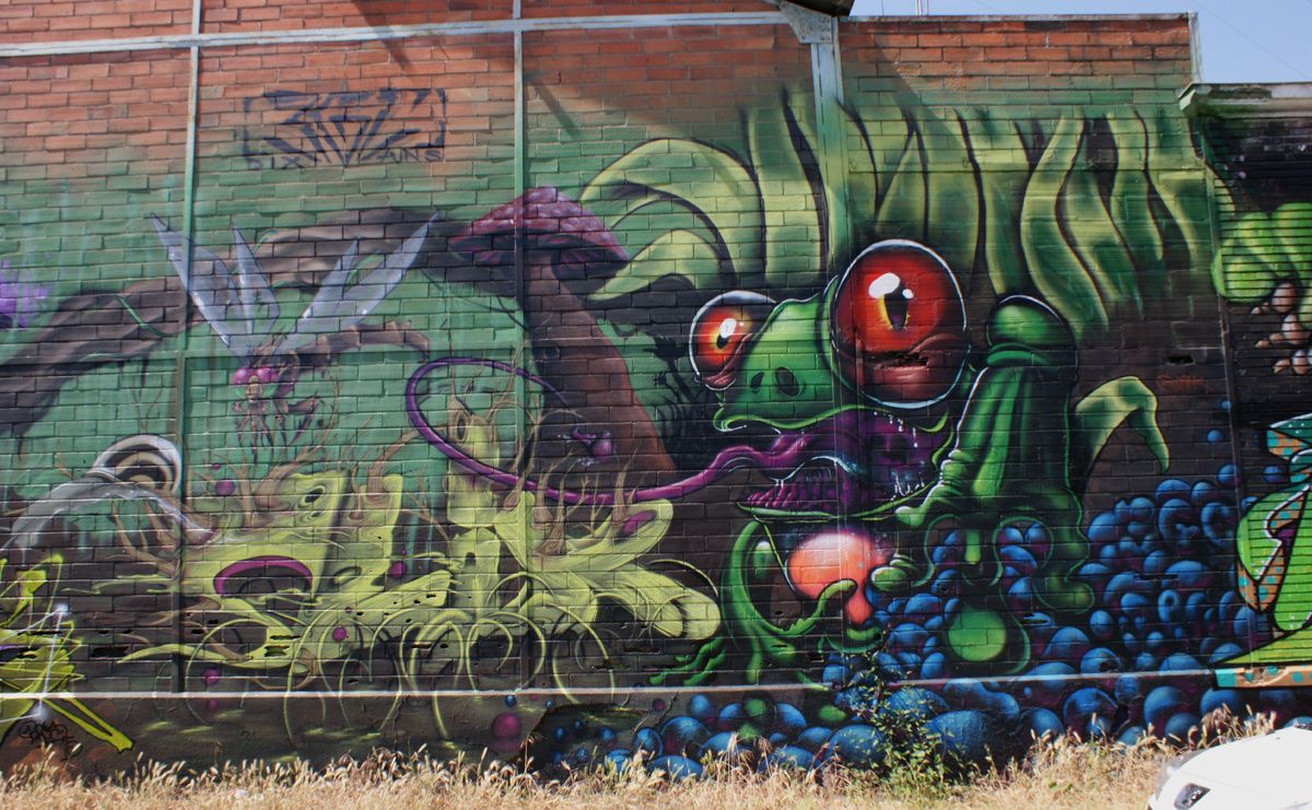 Album - Graffitis Bordeaux Tom 007