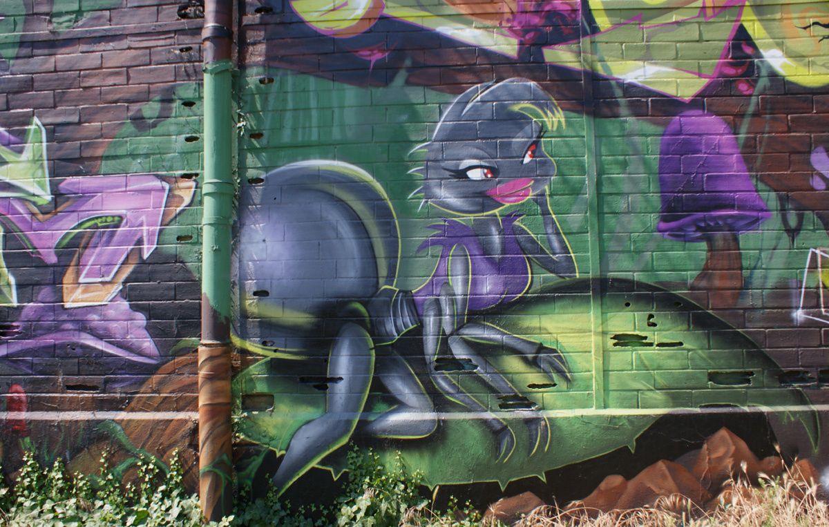 Album - Graffitis Bordeaux Tom 007