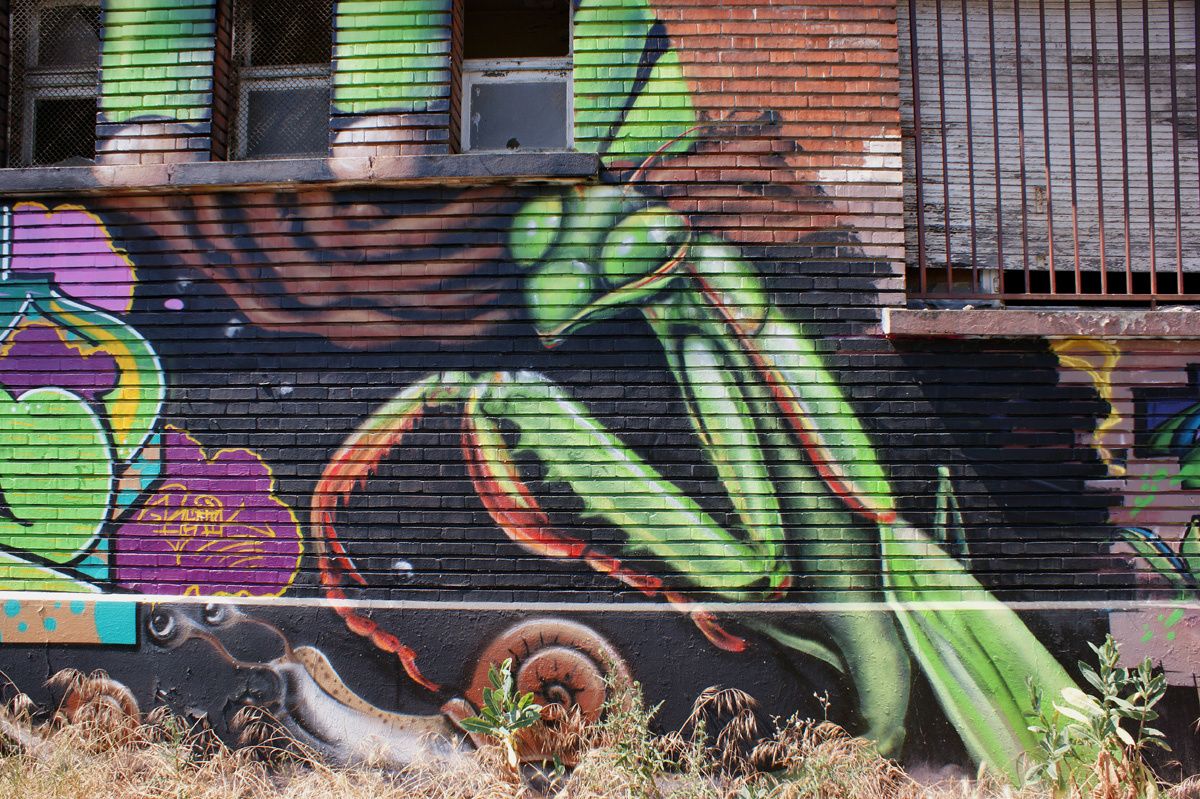 Album - Graffitis Bordeaux Tom 007