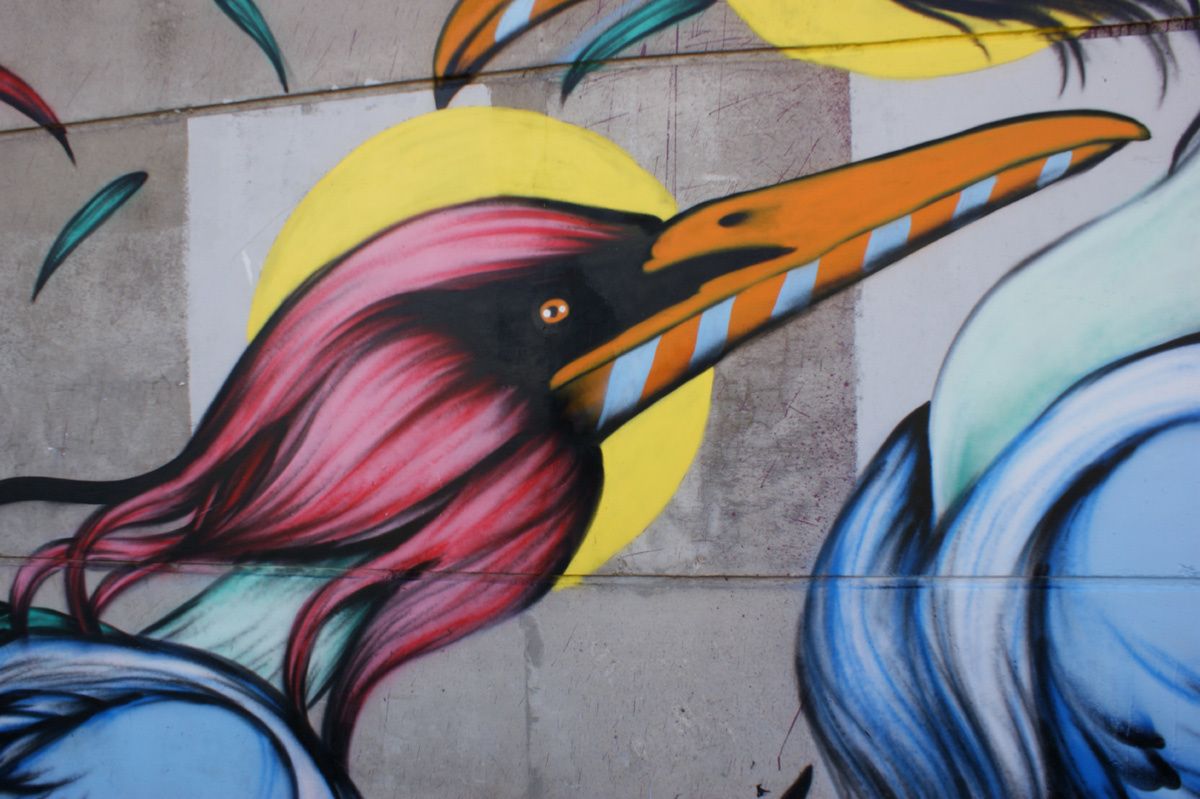 Street Art : Graffitis & Fresques Murales 93066 Saint Denis