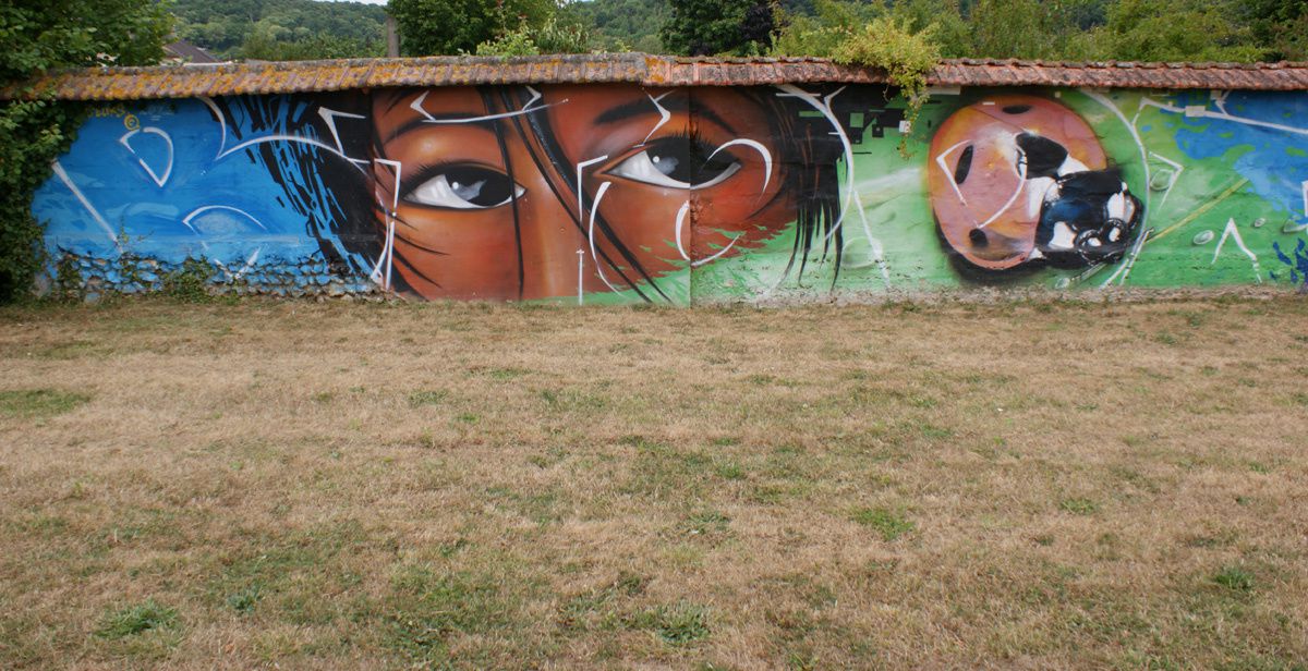 Street Art : Graffitis & Fresques Murales 27229 Evreux