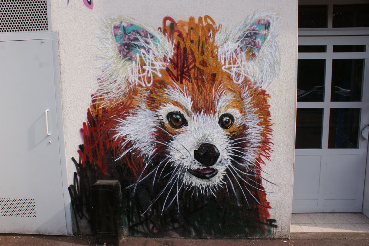 Street Art : Graffitis & Fresques Murales 94400 Vitry sur seine
