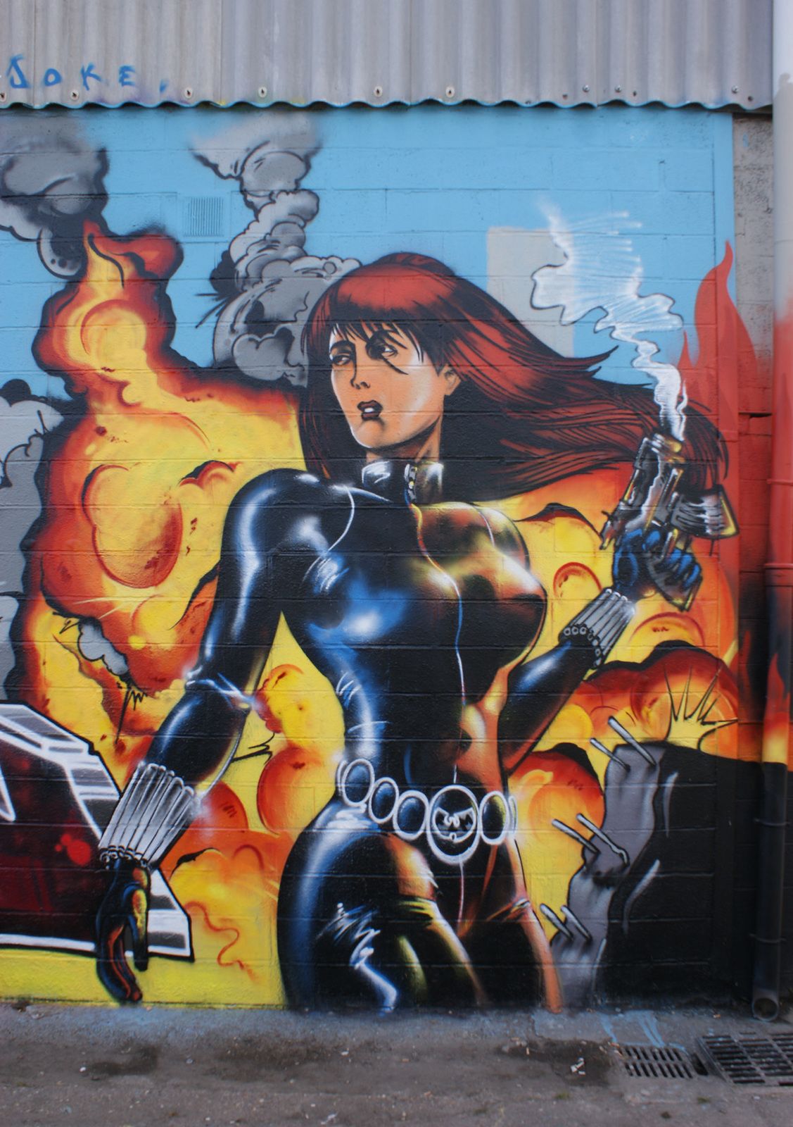 Street Art : Graffitis & Fresques Murales 76540 Rouen