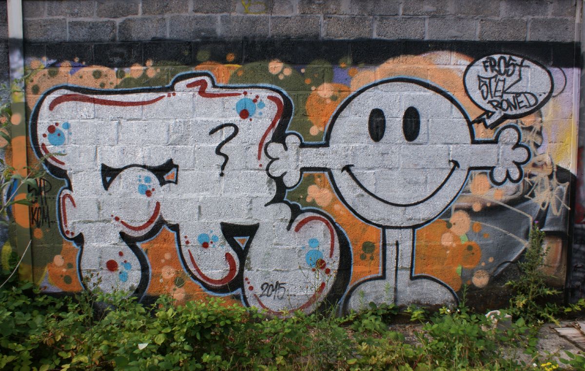 Street Art : Graffitis & Fresques Murales 76540 Rouen