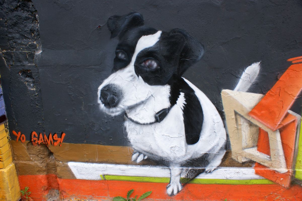 Street Art : Graffitis & Fresques Murales 33000 Bordeaux