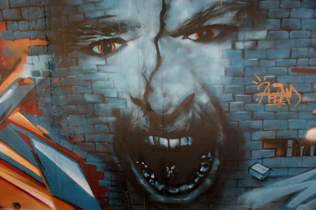 Street Art : Graffitis & Fresques Murales 31446 Ramonville