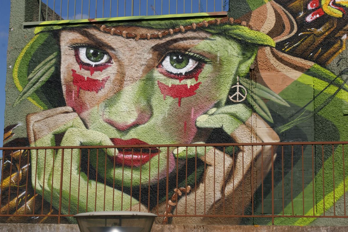 Street Art : Graffitis & Fresques Murales 31446 Ramonville